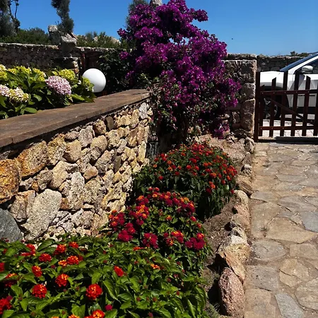 La Casa Di Veronica Casa de Férias Olbia